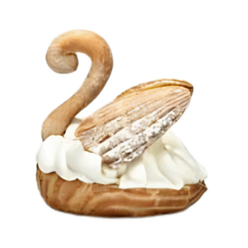 SWAN